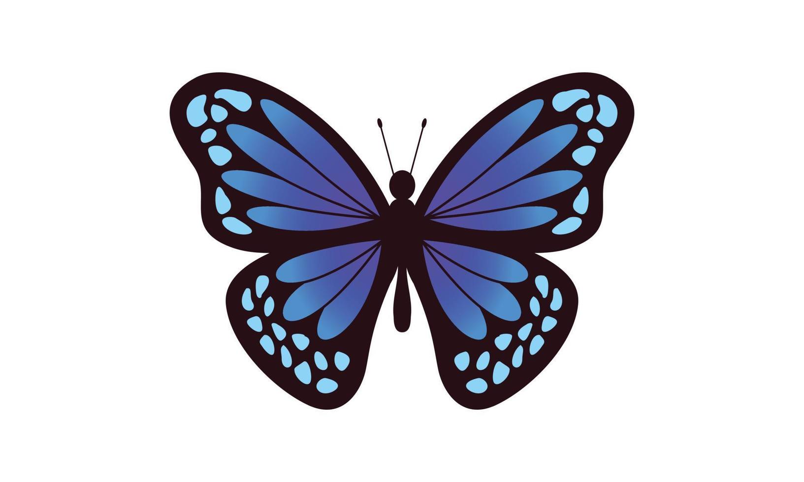 Beautiful color butterfly logo vector art illustration