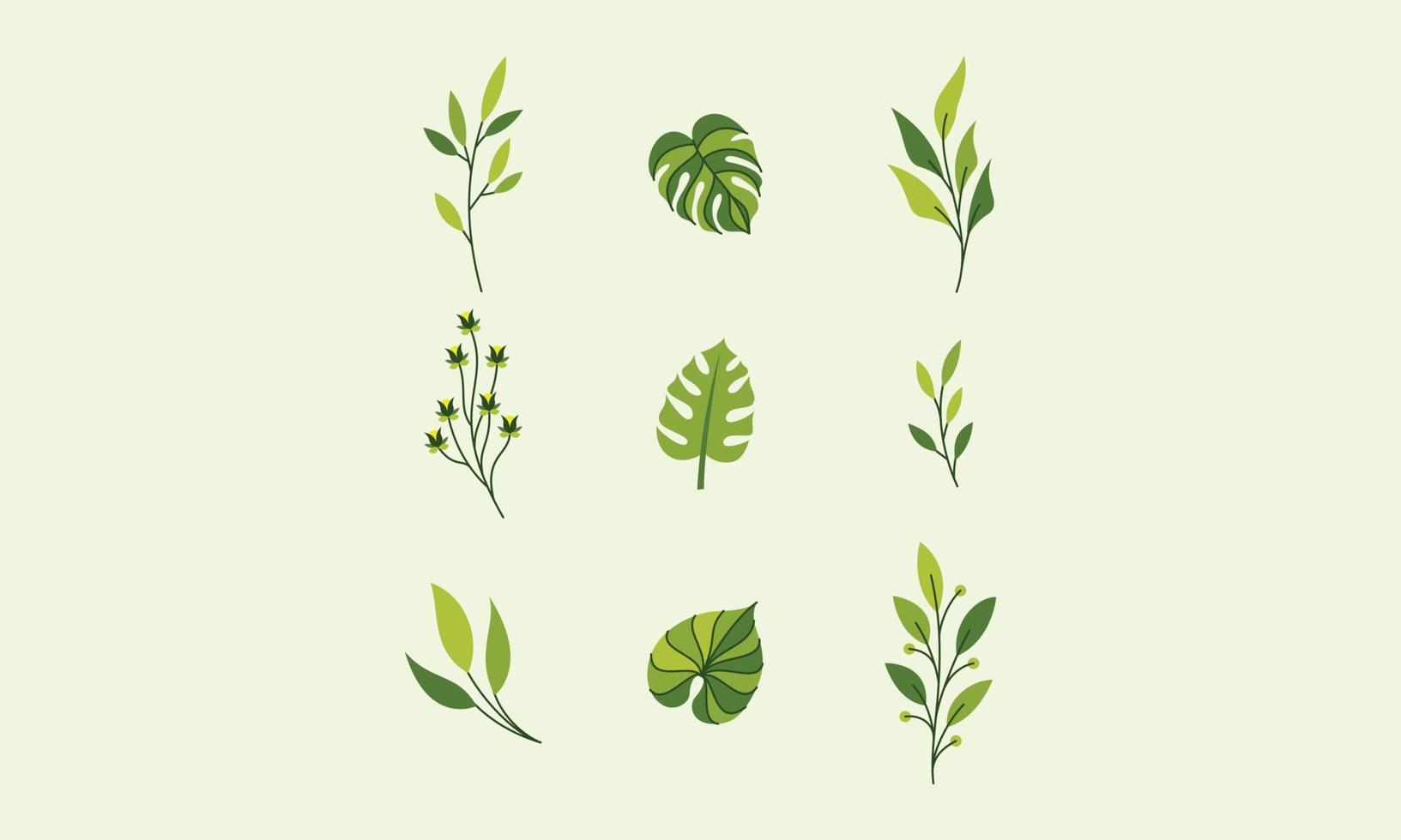 Cute nature flowers and leaves vector. Small colorful flowers vector