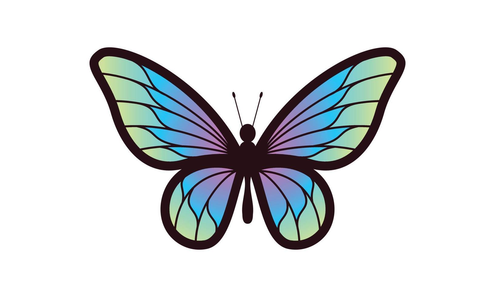 Beautiful color butterfly logo vector art illustration