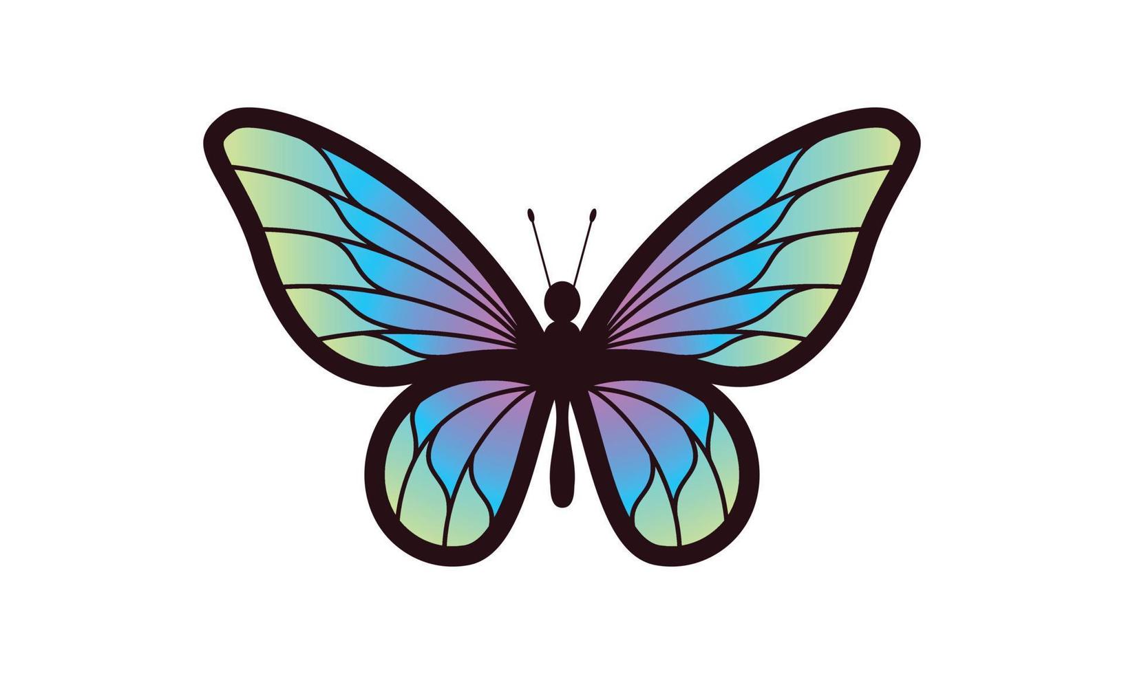 Beautiful color butterfly logo vector art illustration