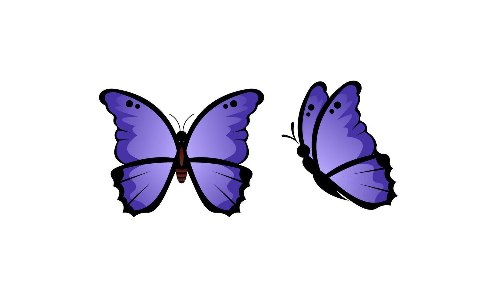 Beautiful color butterfly logo vector art illustration