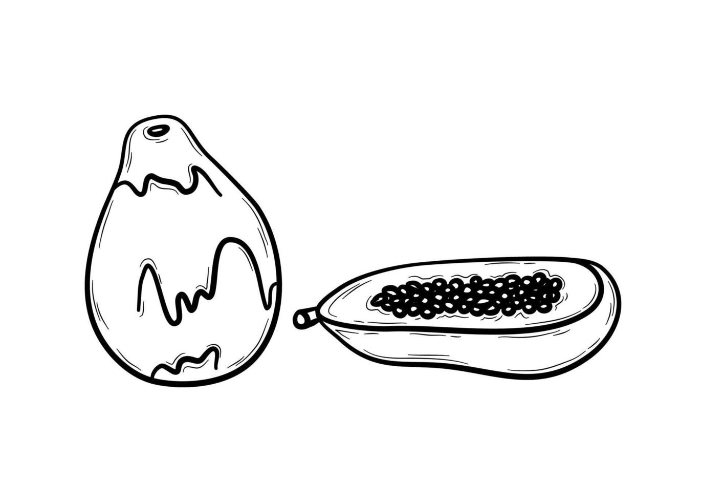 Hand drawn papaya. Exotic southern fruit with small black seeds isolated on white.  Flat vector illustration in doodle style.