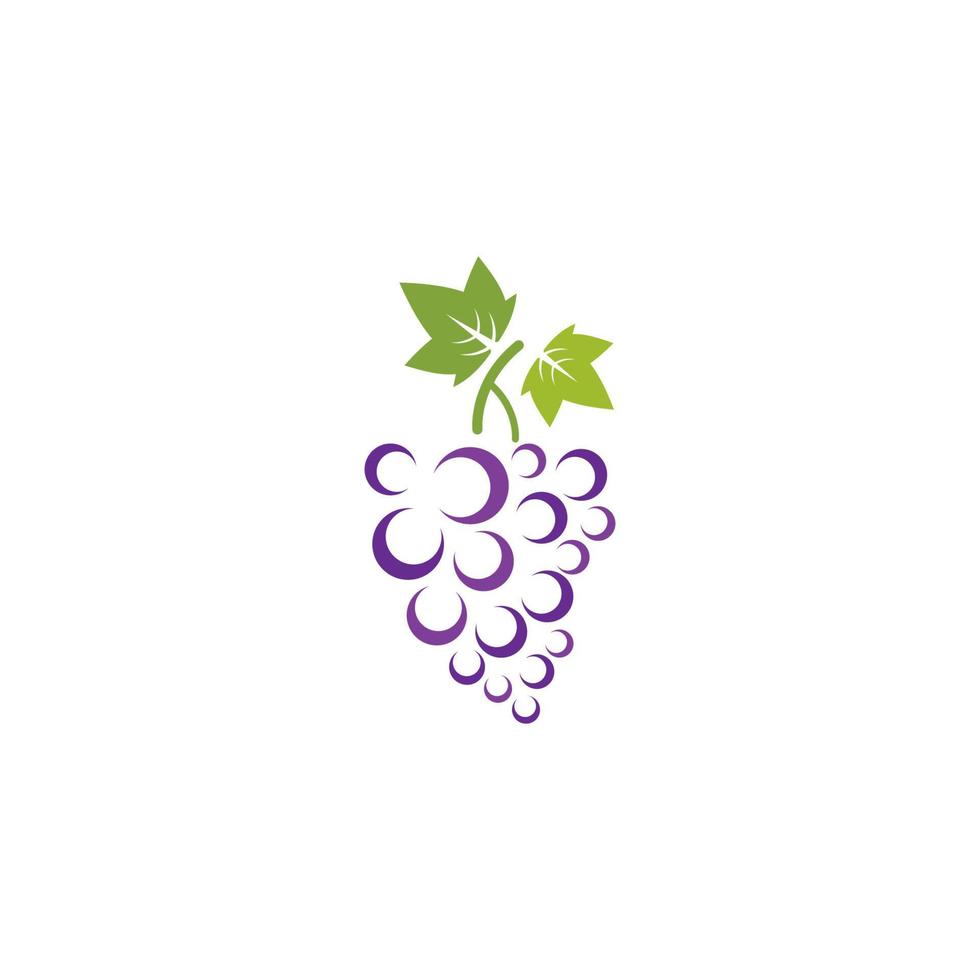 racimo de uvas de vino con icono de hoja vector