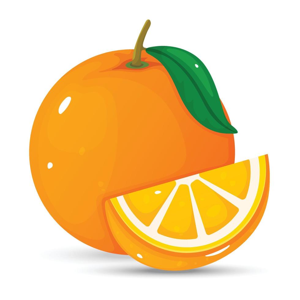 orange illustration vector