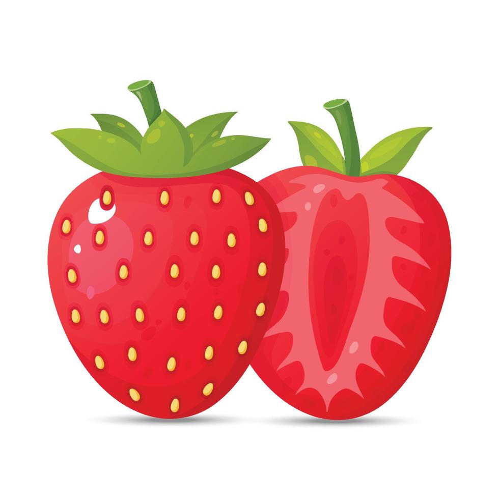 vector de ilustración de fresa
