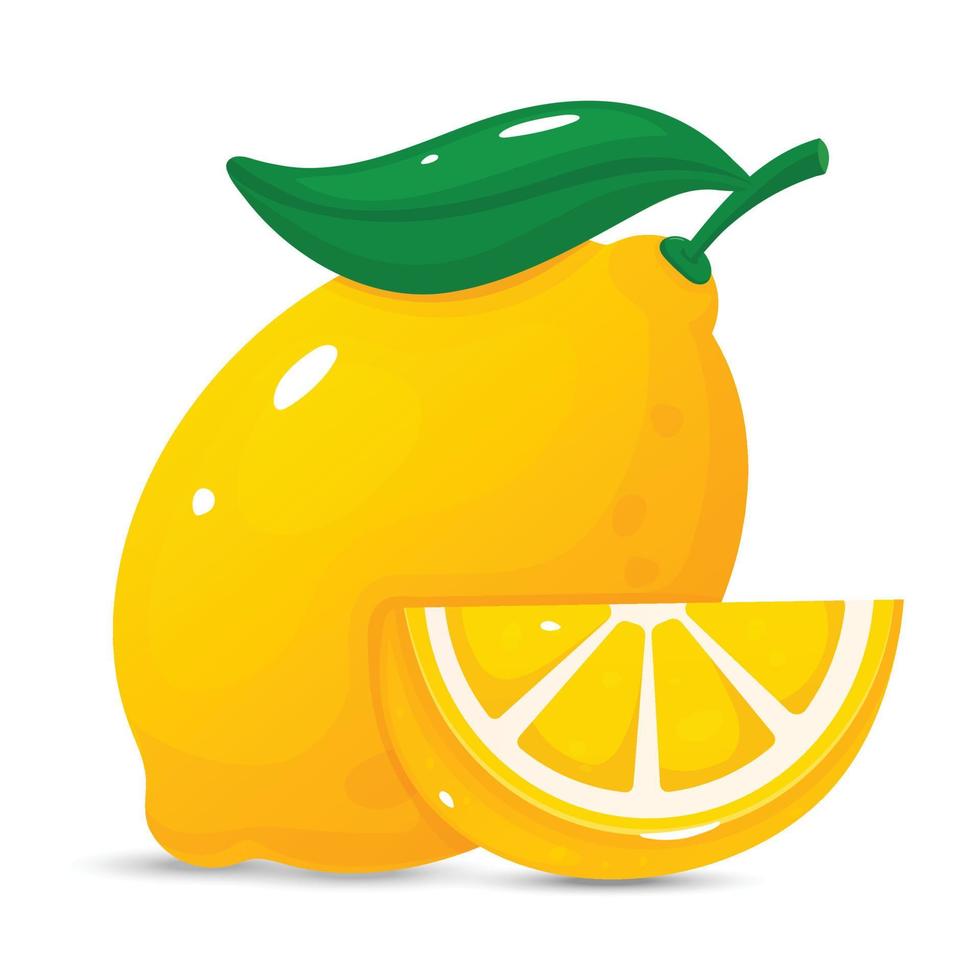 Lemon illustration vector