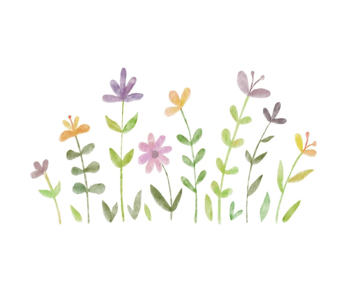 Watercolor wild herbs and flowers doodle illustration. Field with grass and wildflowers isolated on white background vector