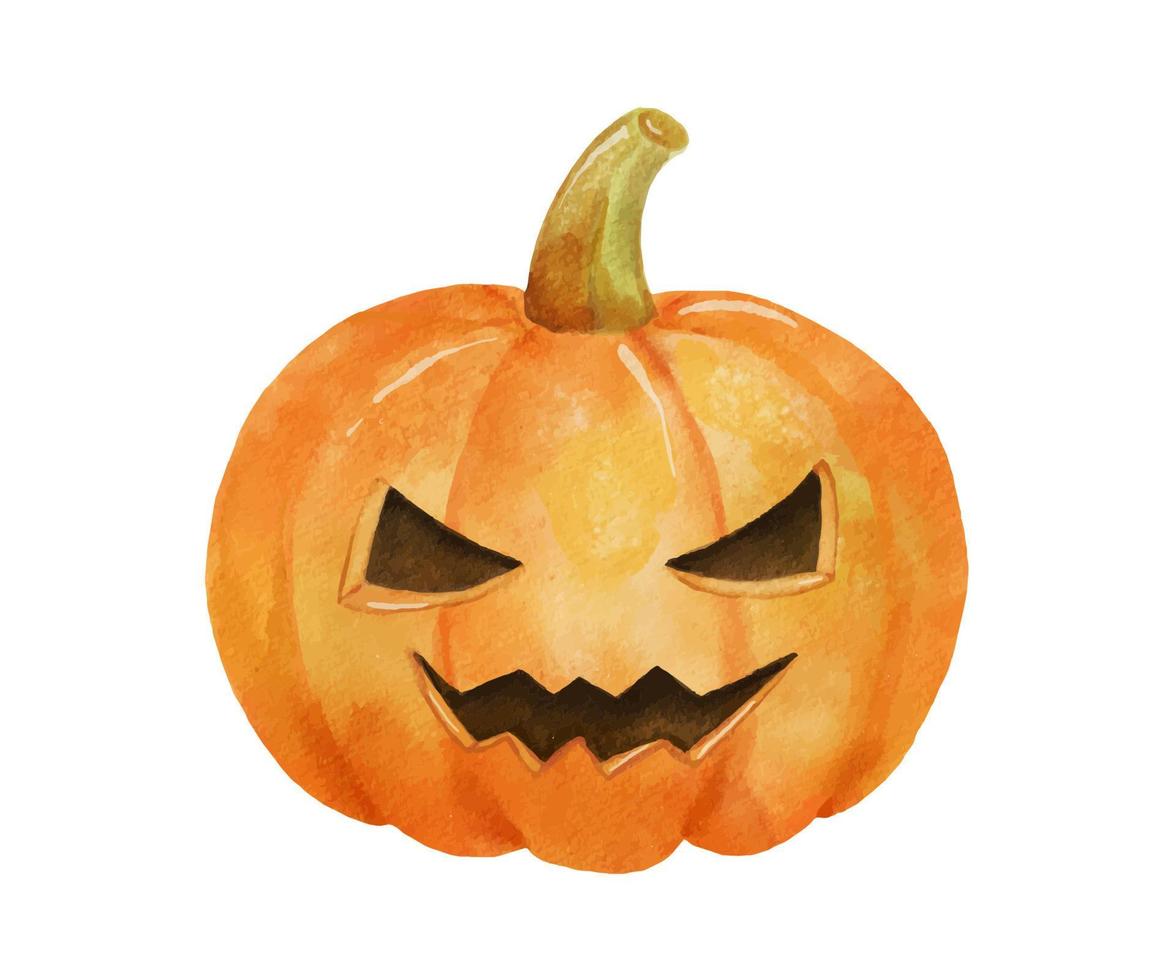 calabaza de halloween dibujo acuarela aislado en blanco. vector