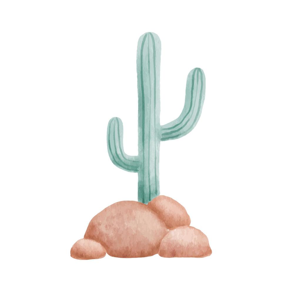 Cactus illustration isolated on white vector