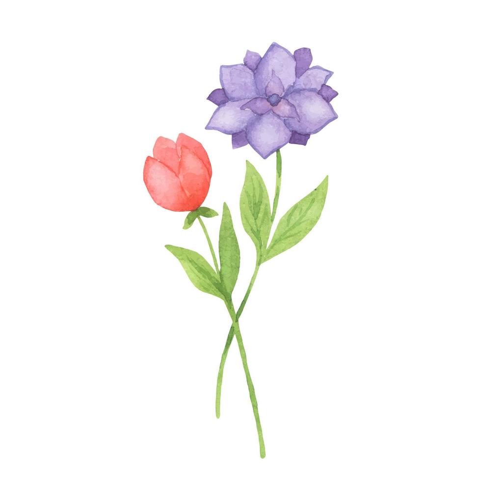 ilustración acuarela ramo de flores. flores silvestres dibujadas a mano vector