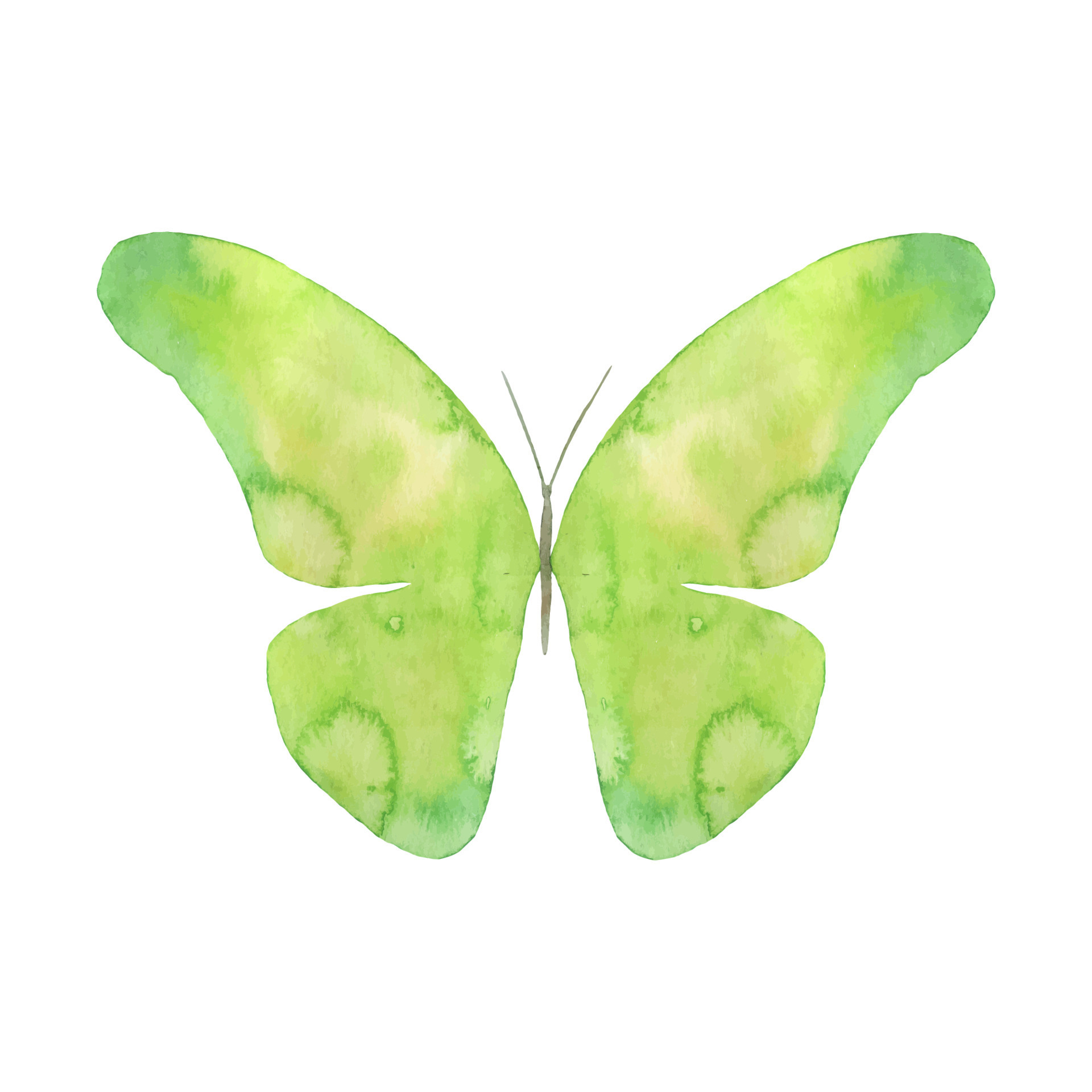 Watercolor flying butterfly isolated on white background. Green hand