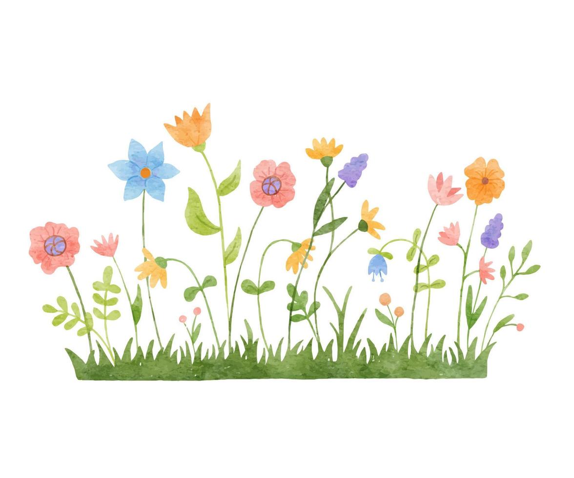 Watercolor wild herbs and flowers doodle illustration. Field with grass and wildflowers isolated on white background vector