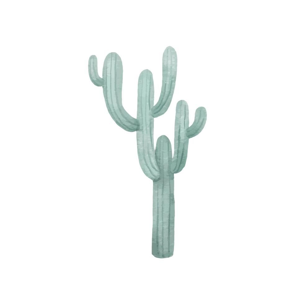 Cactus illustration isolated on white vector