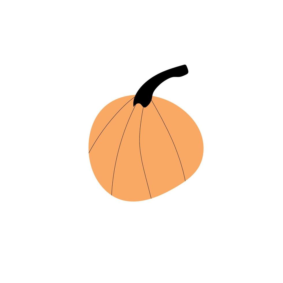 símbolo de agricultura de planta de calabaza de otoño. decoración de otoño comida fresca y saludable. vector