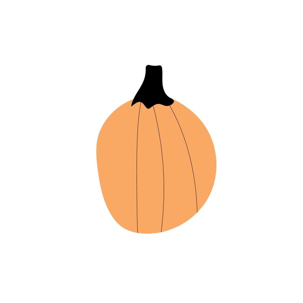 símbolo de agricultura de planta de calabaza de otoño. decoración de otoño comida fresca y saludable. vector