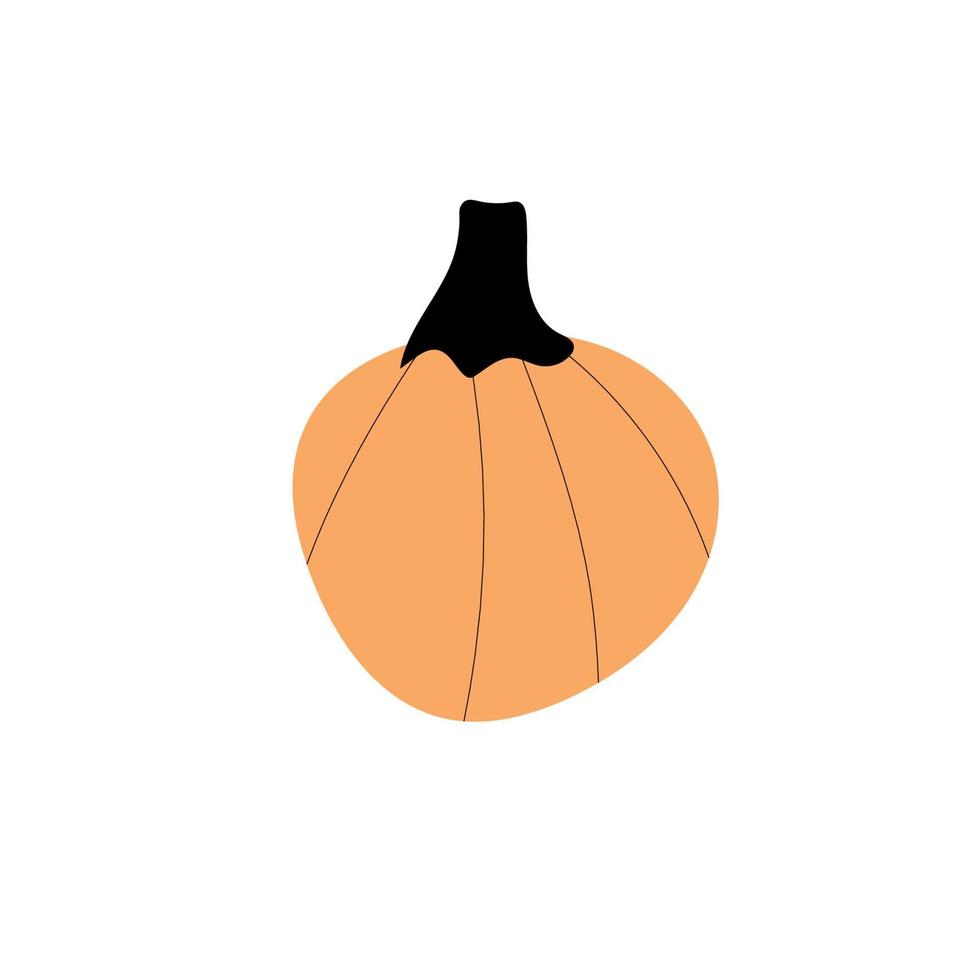 Autumn pumpkin plant Agriculture symbol. Fall decor. Fresh healthy food. vector