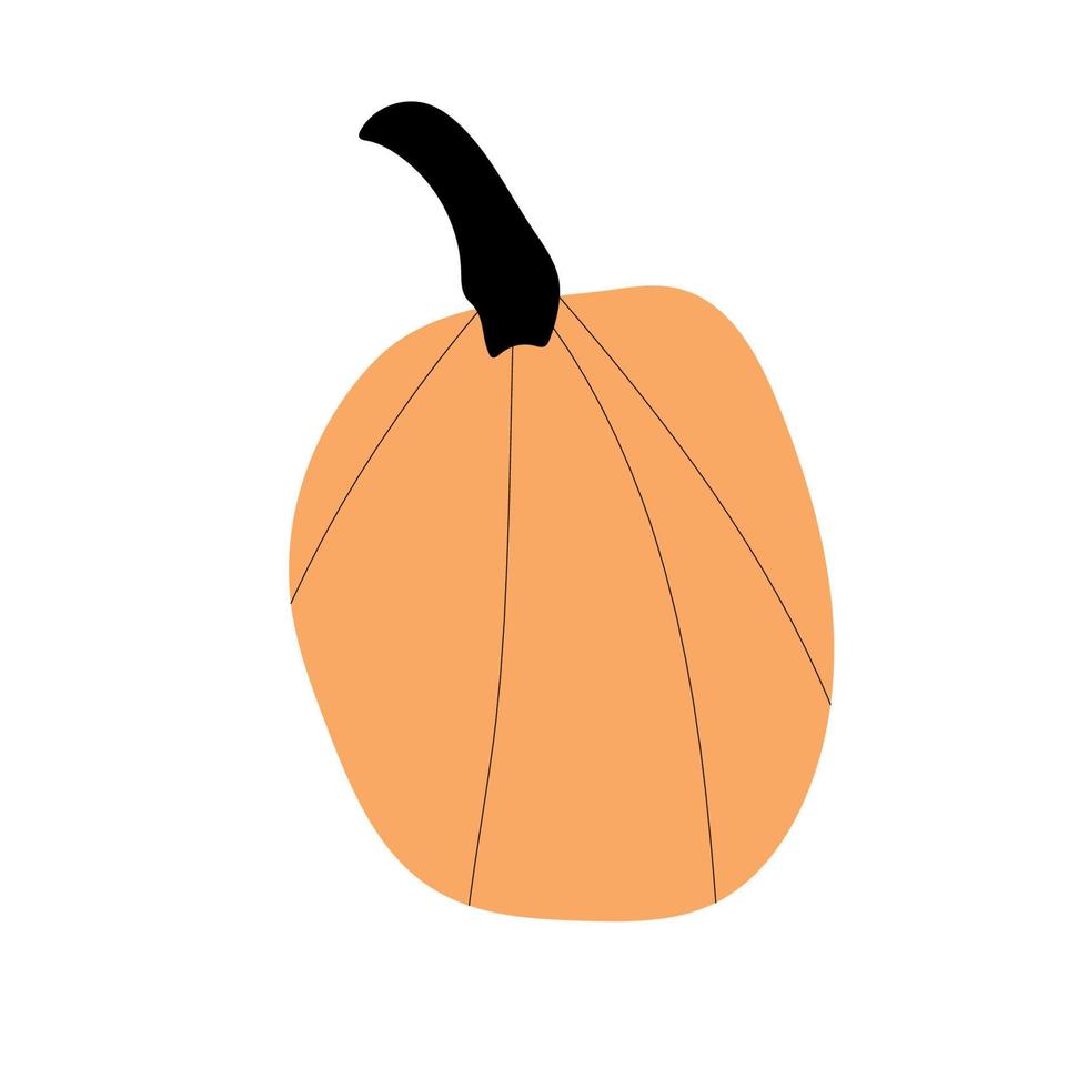 símbolo de agricultura de planta de calabaza de otoño. decoración de otoño comida fresca y saludable. vector