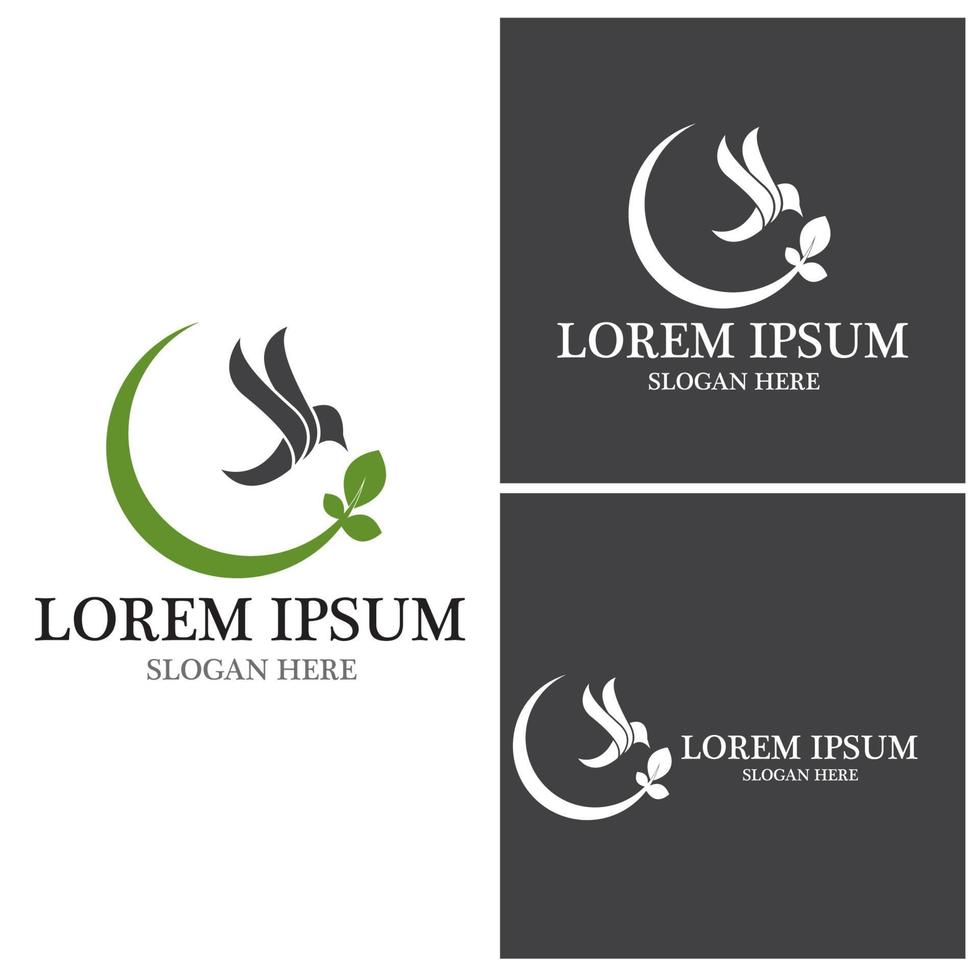 Bird icon and symbol vector illustration