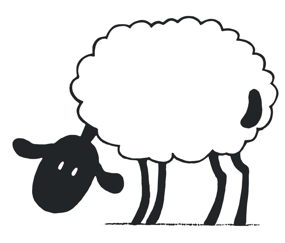 Sheep drawing in children's style. vector