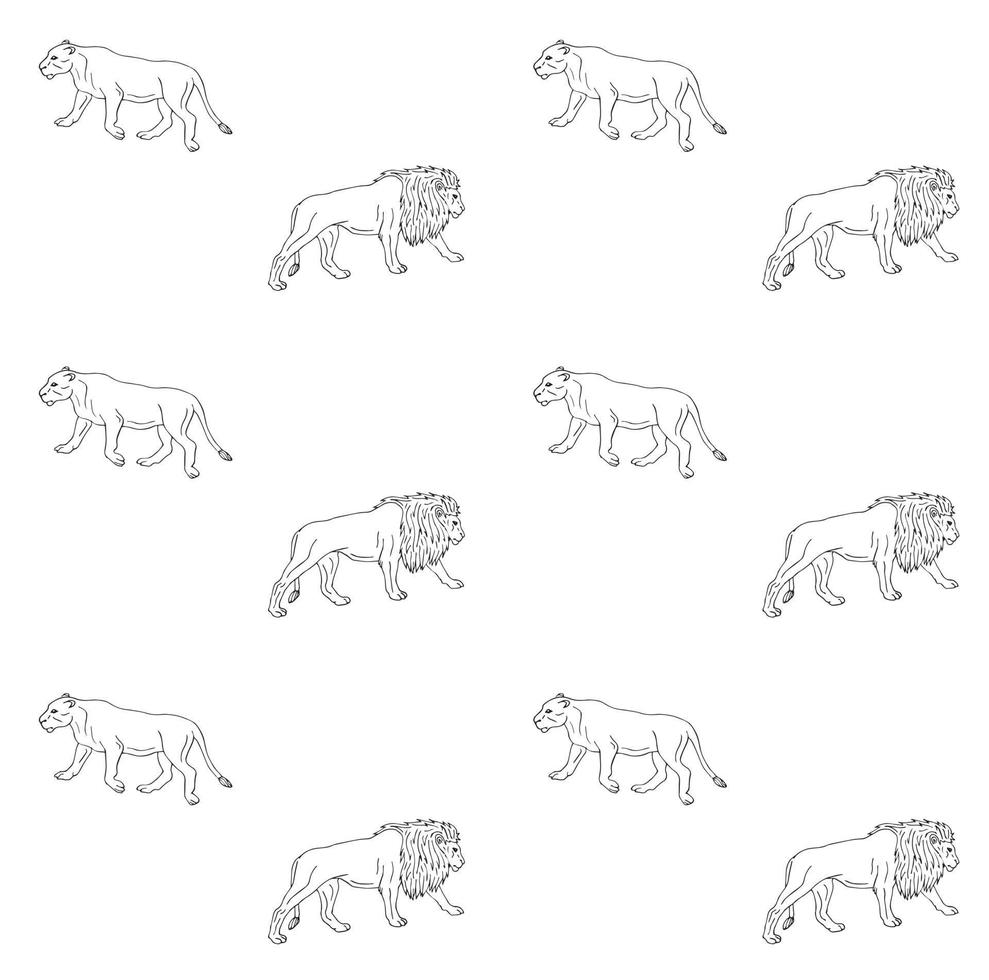 Pattern of lions vector