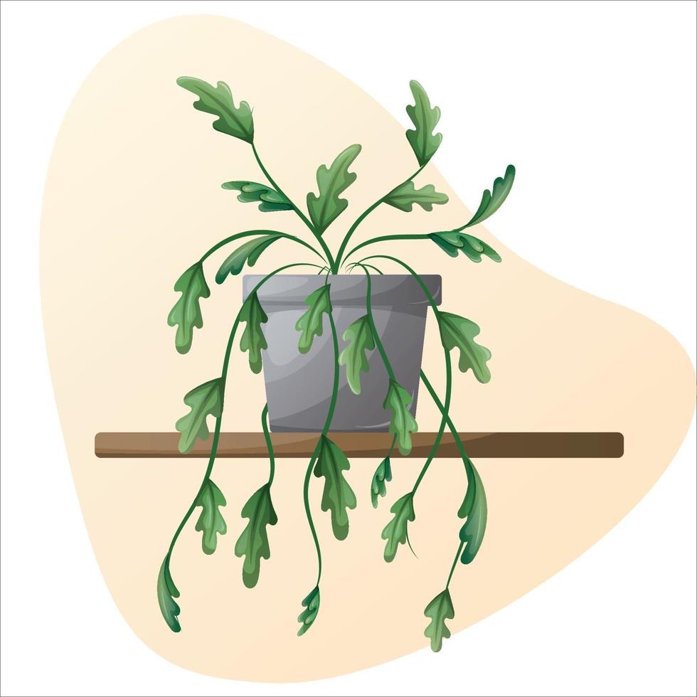 Homeplant on the shelf vector