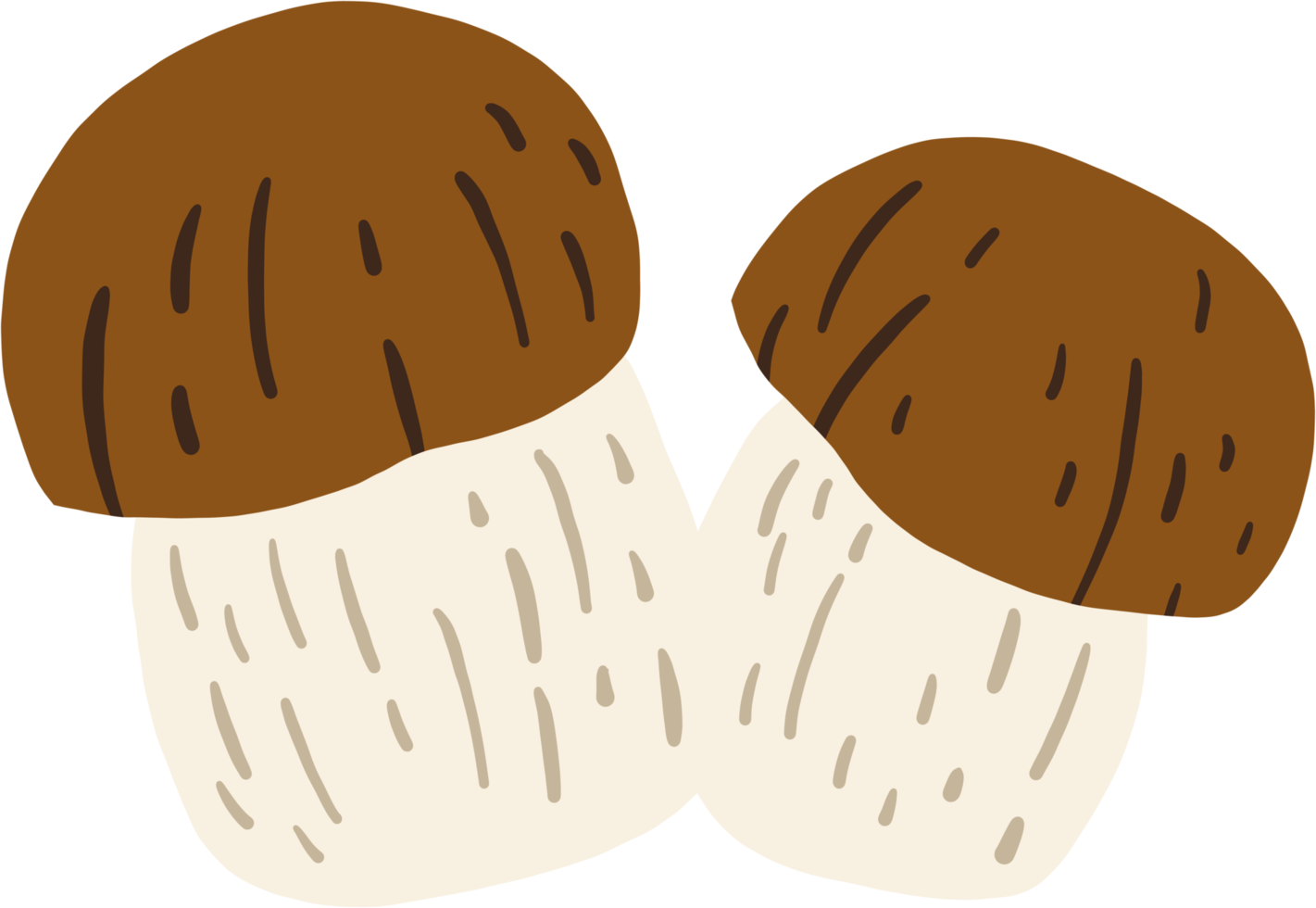 scarabocchiare a mano libera disegno di funghi porcini. png