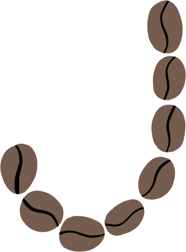 doodle freehand sketch drawing of coffee bean alphabet. png