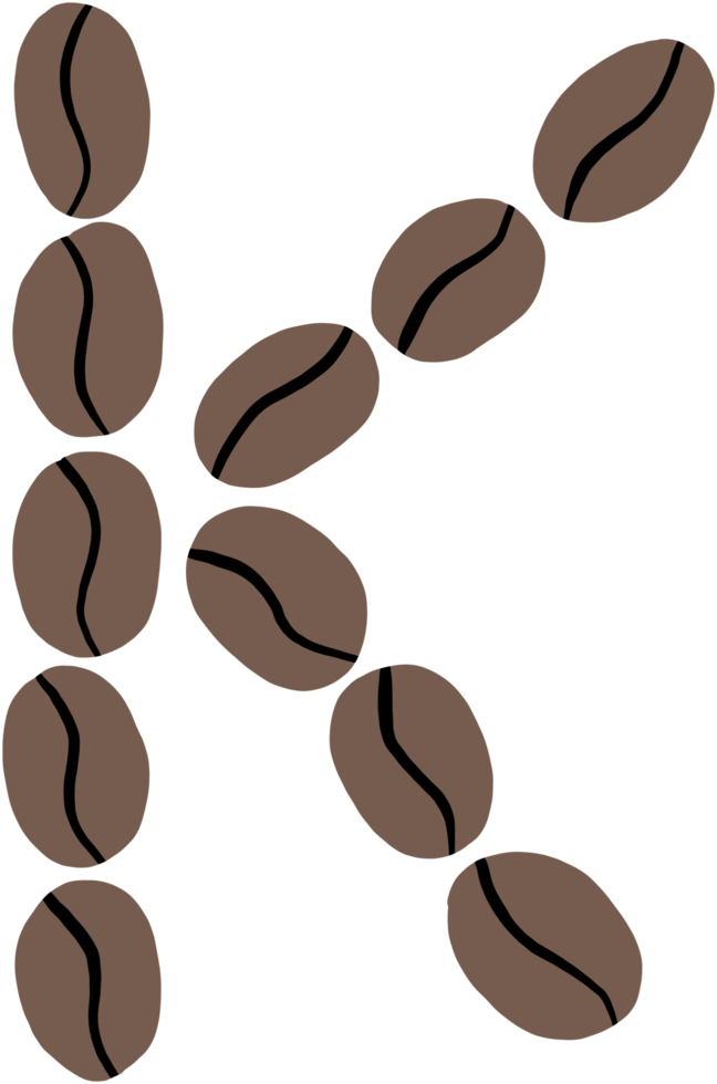 doodle freehand sketch drawing of coffee bean alphabet. png