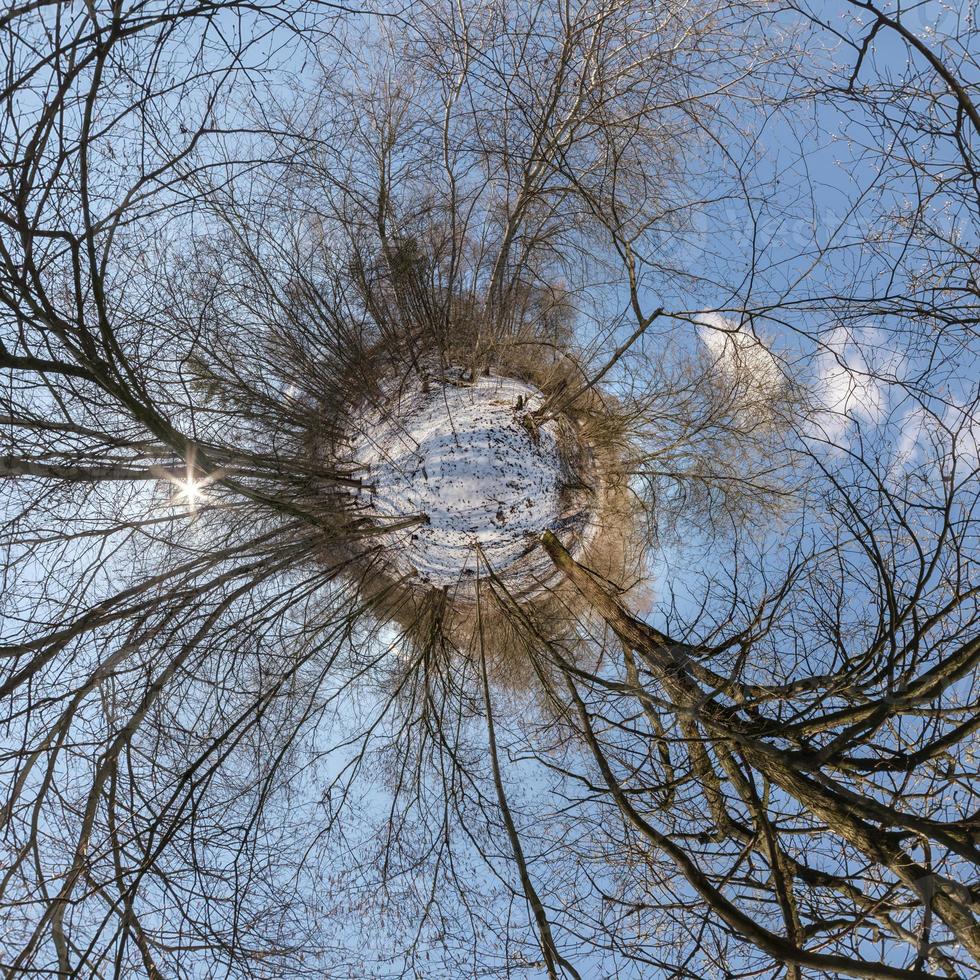 Winter tiny planet in snow covered pinery forest. transformation of spherical panorama 360 degrees. Spherical abstract aerial view in forest. Curvature of space. photo