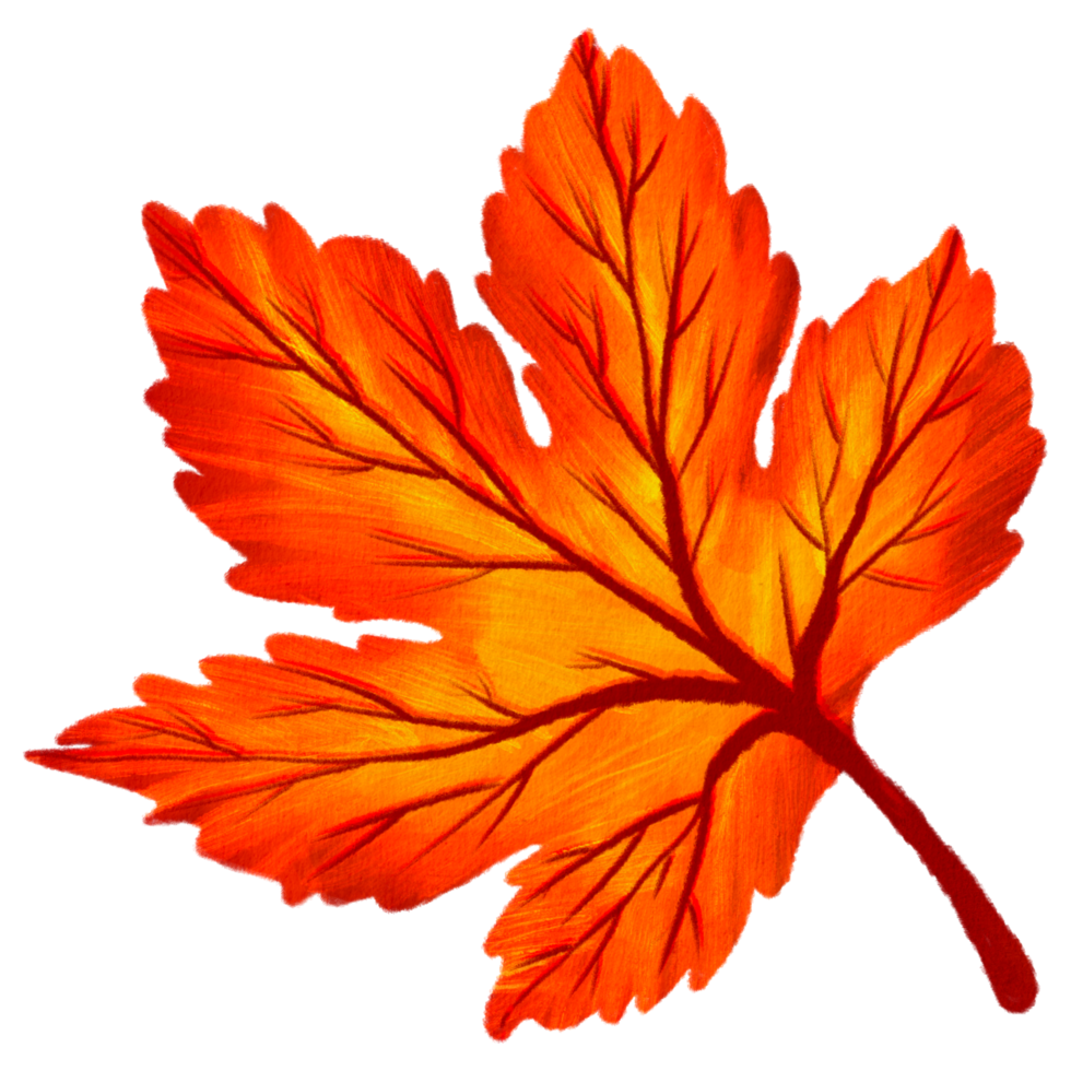Watercolor Autumn Leaf png