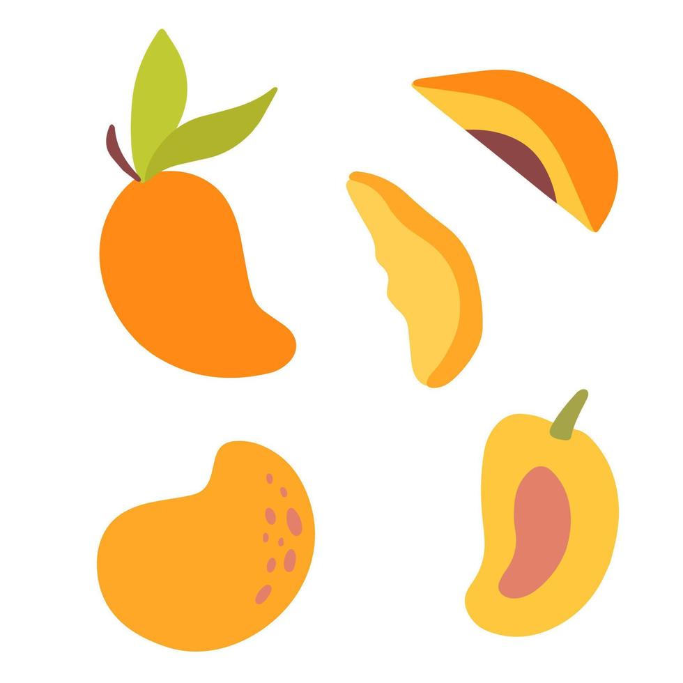 conjunto de vector de diseño de concepto de fruta y rebanada de mango orgánico fresco