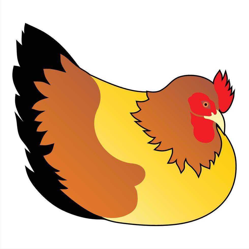 The hen lays on the eggs vector