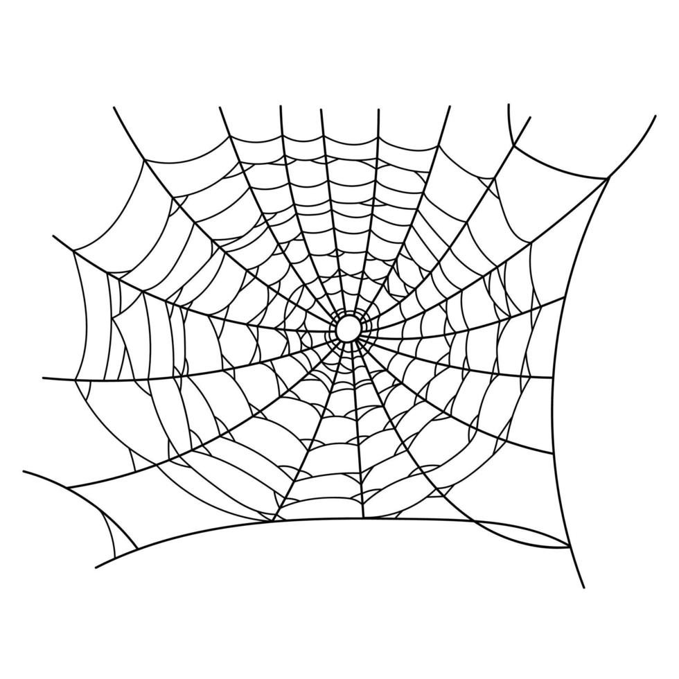 Outline illustration of a simple spider web, isolated object on the white background. Halloween party hand drawn decoration vector