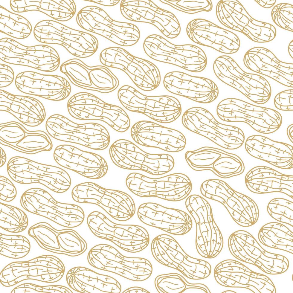 Seamless pattern with peanuts. Vector illustration of peanut in nutshell on white background