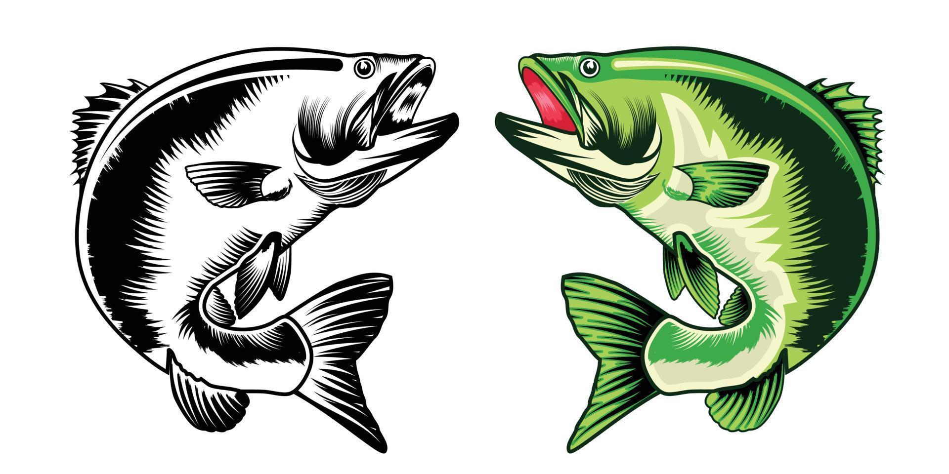 Bass fish vector illustration bundle design.