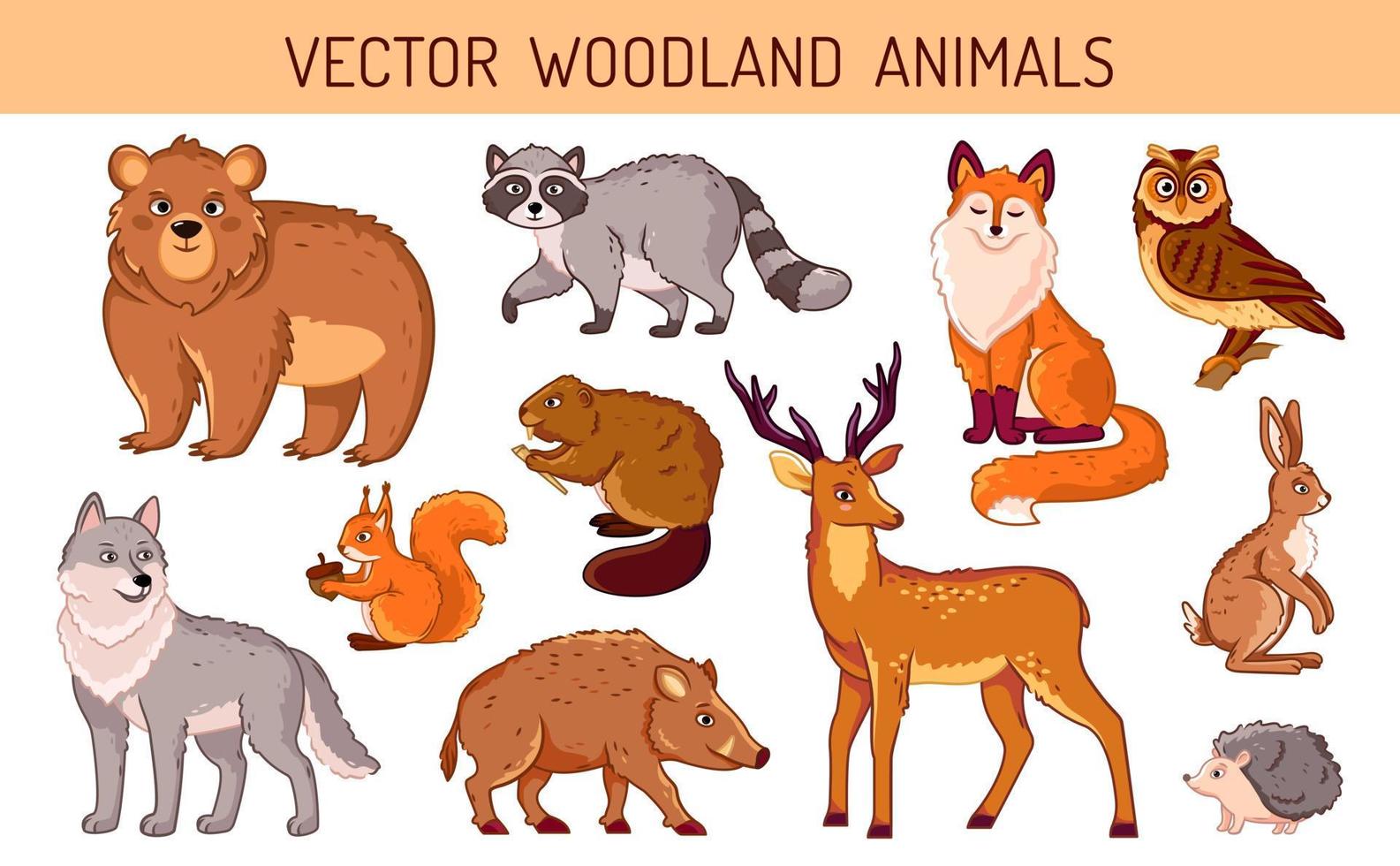 un conjunto de animales del bosque sobre un fondo aislado. animales brillantes y lindos en vector de estilo de dibujos animados