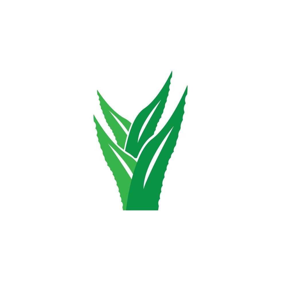 conjunto de icono de vector de plantilla de logotipo de aloevera