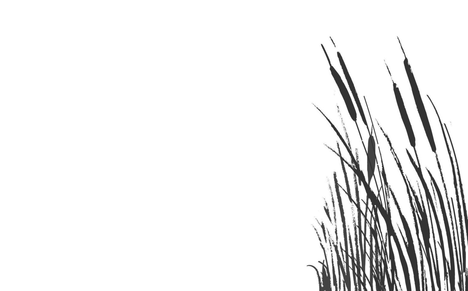 Image of a green reed or bulrush on a white background.Isolated vector drawing.