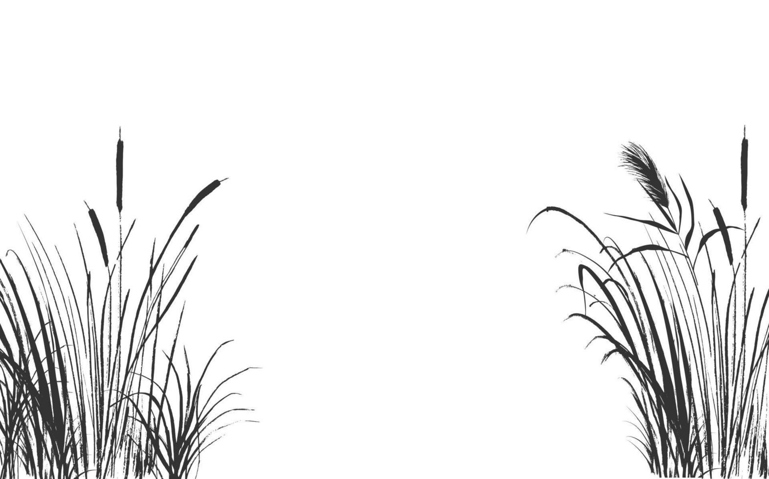 imagen de una caña verde o una espadaña sobre un fondo blanco.dibujo vectorial aislado. vector