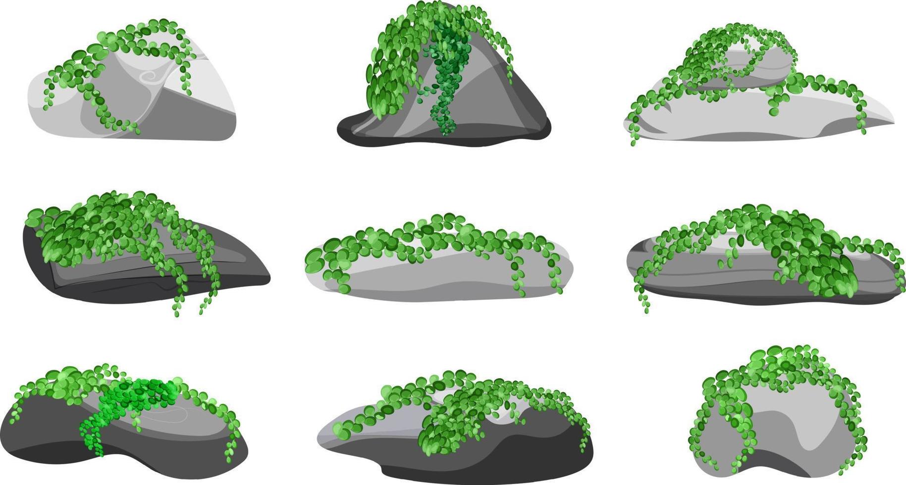 colección de piedras y plantas de diversas formas. guijarros costeros, adoquines, grava, minerales y formaciones geológicas. fragmentos de roca, cantos rodados y material de construcción. vector