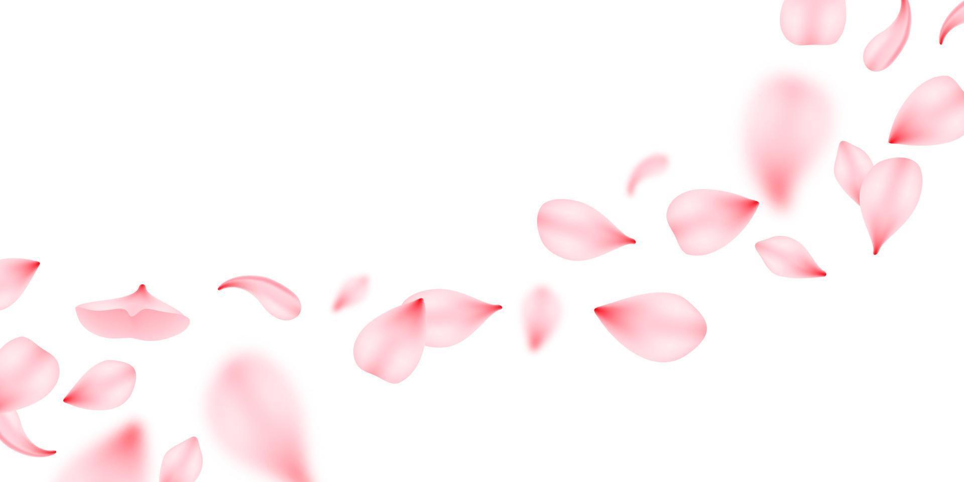 Flying sakura petals, isolated vector 3d design