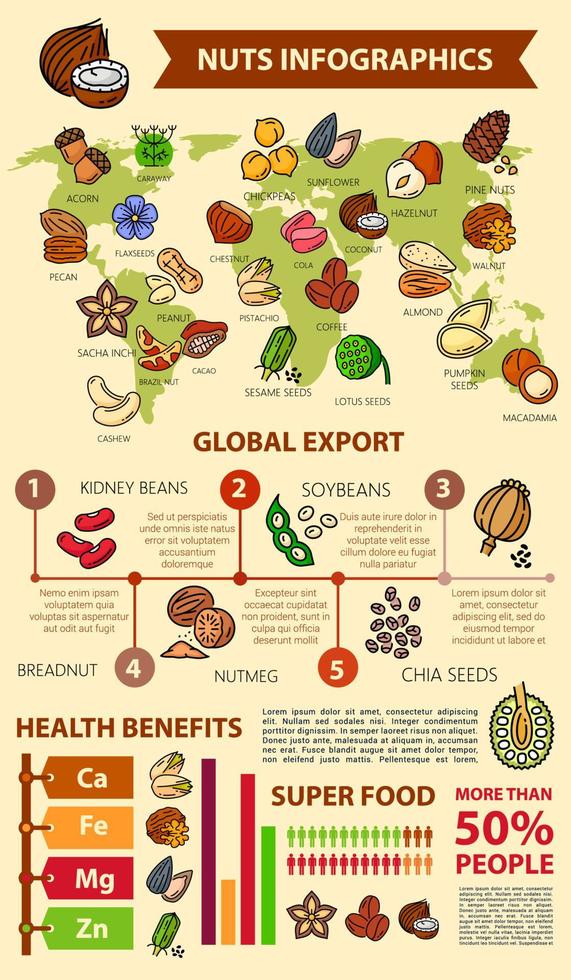 Nuts and seeds infographics, beans food statistics vector