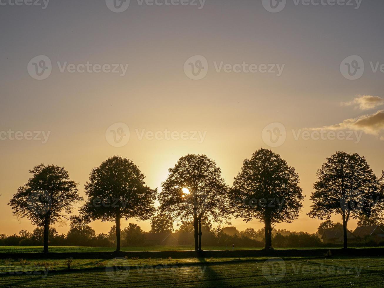 autumn time near Borken in westphalia photo