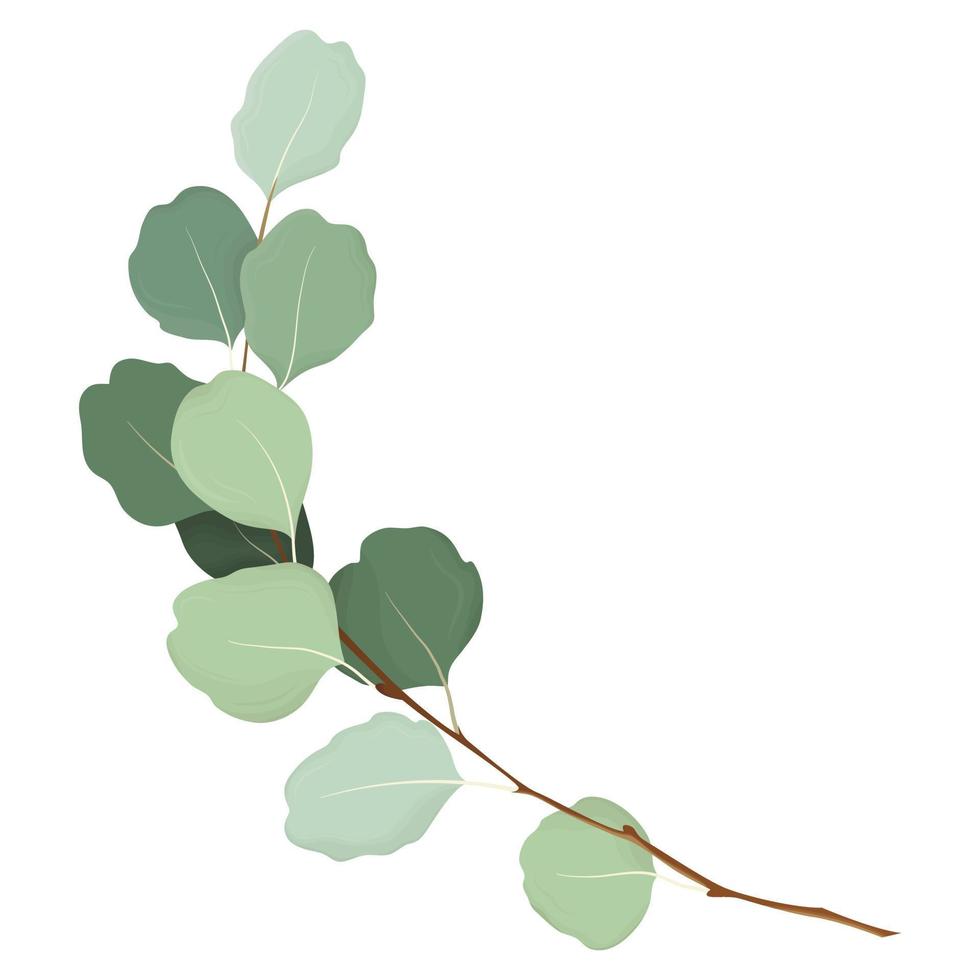 Tree branch. Twig. Leaves. vector