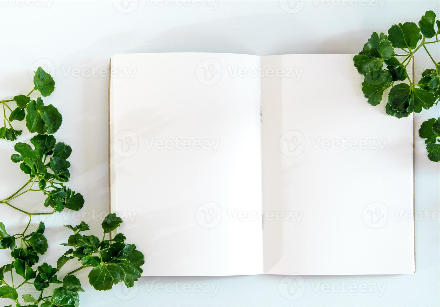 White paper notebook with green leaves as frame photo