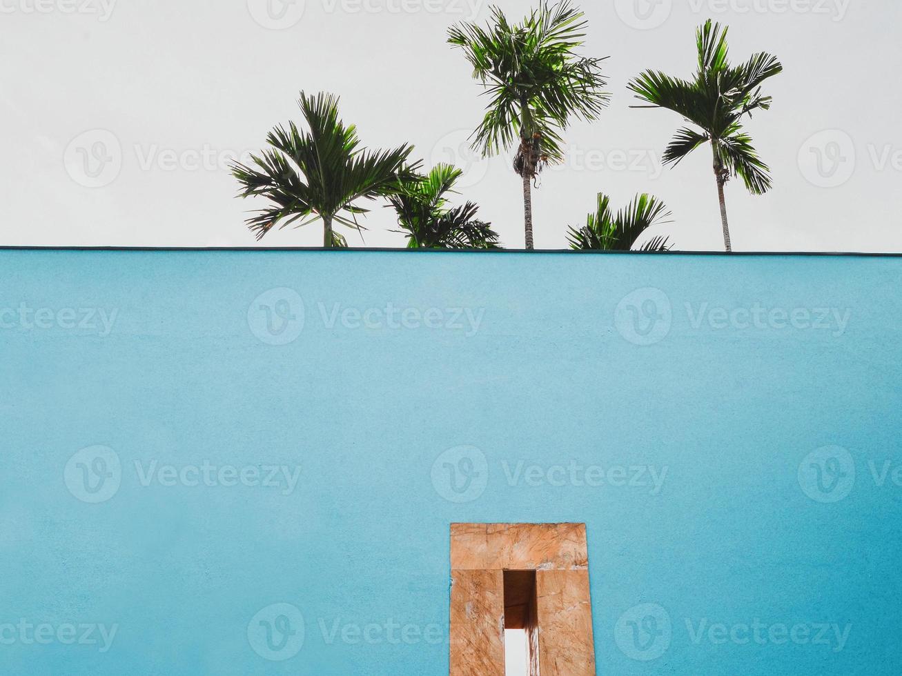 A low angle view of a blue courtyard with palm trees in the background photo