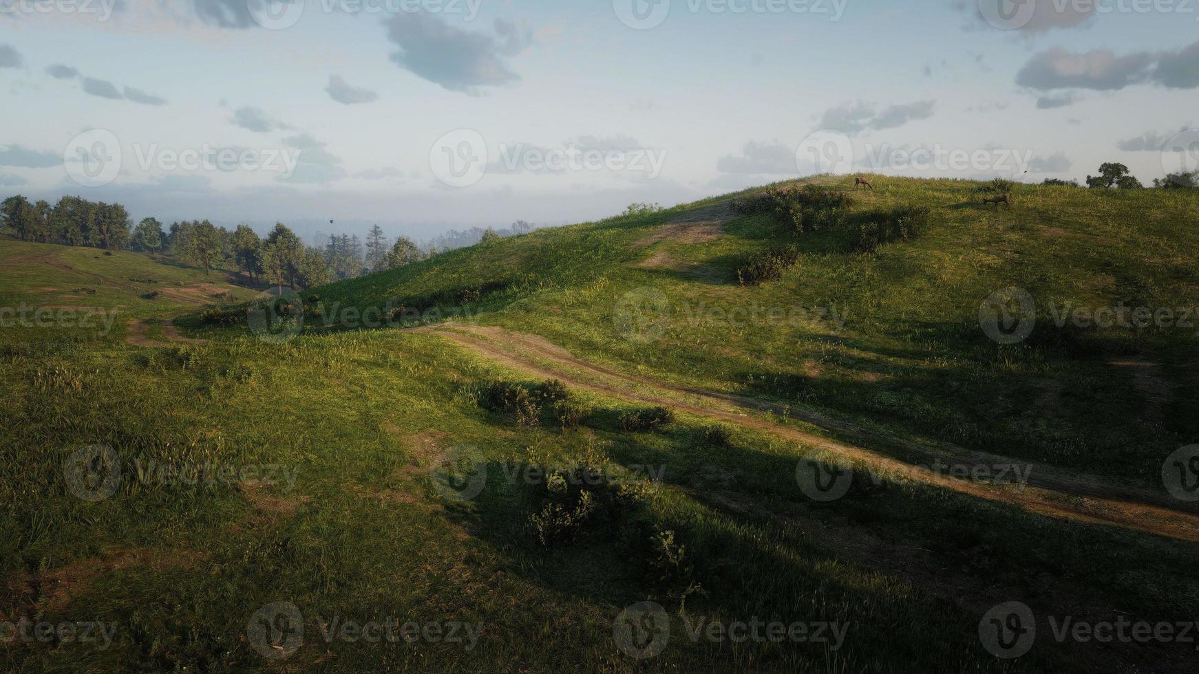 vast grassland The sun is leaving the horizon 3D rendering photo