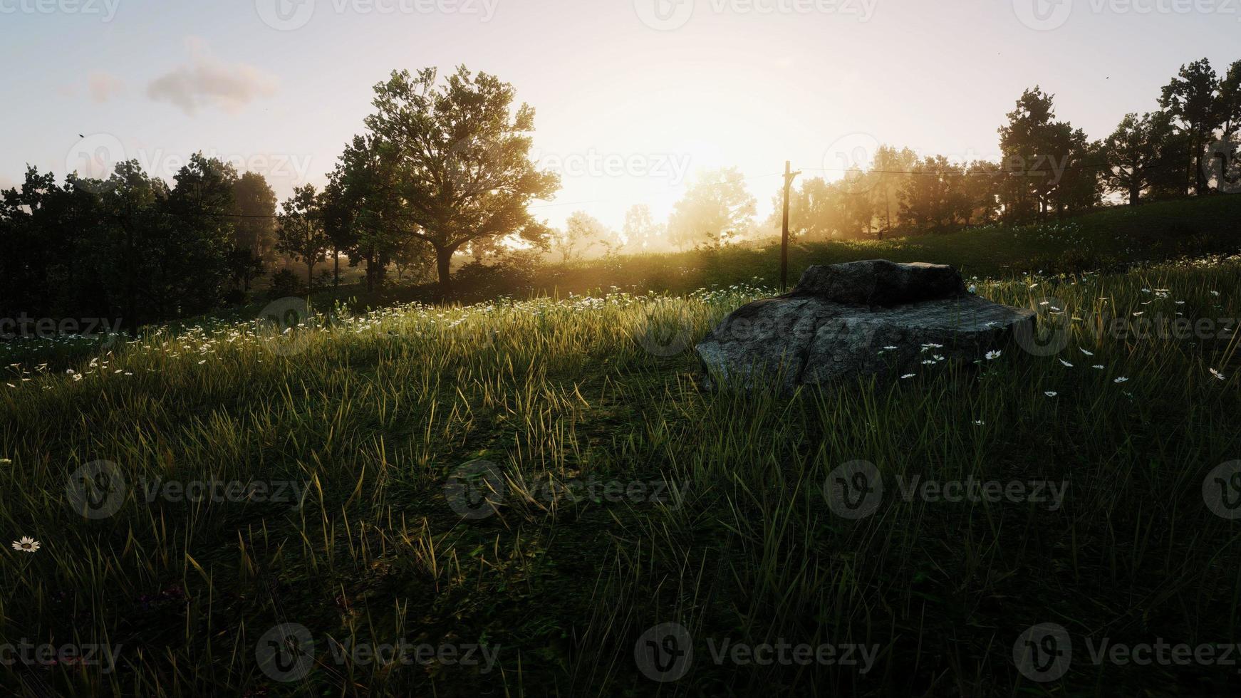 vast grassland The sun is leaving the horizon 3D rendering photo