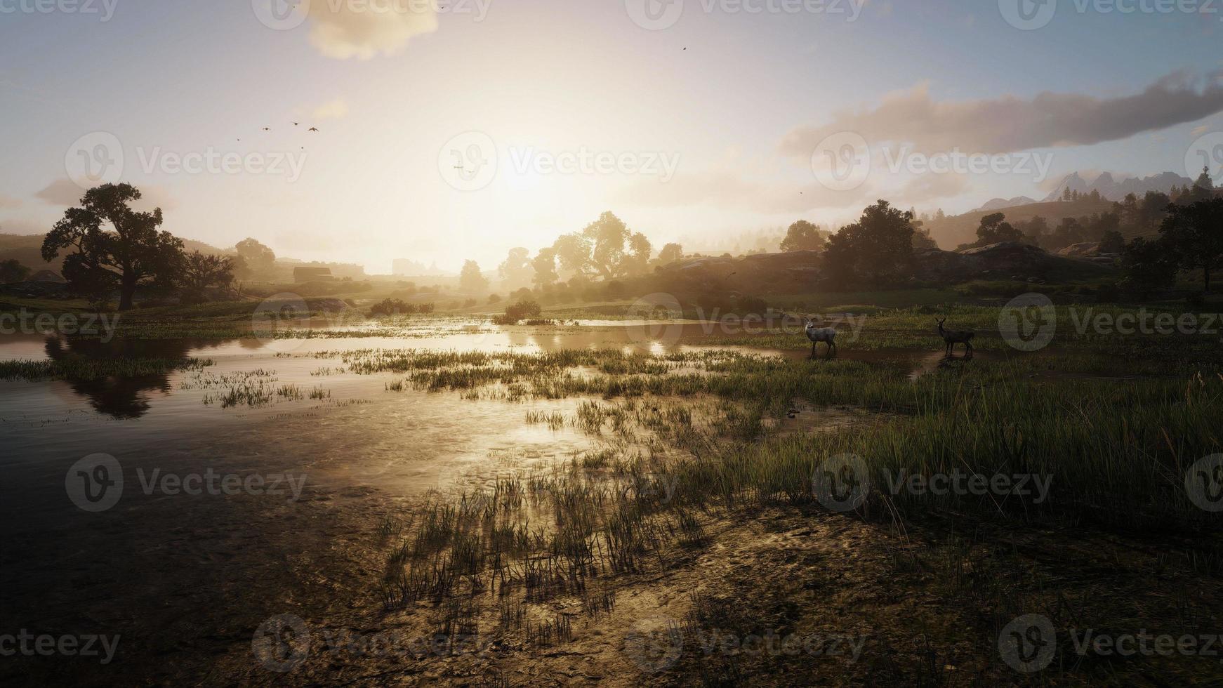 vast grassland The sun is leaving the horizon 3D rendering photo