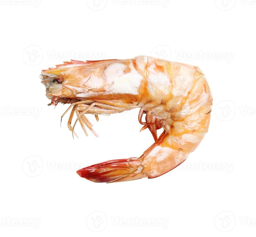 shrimps on a white background photo